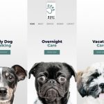 Digital Download Store Theme Product Featured Image 8 150x150
